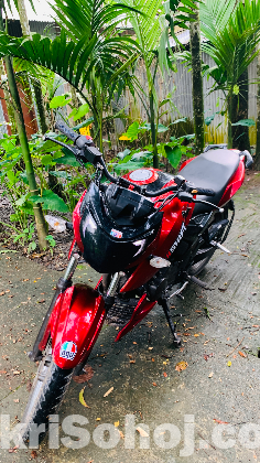 apahee 4v